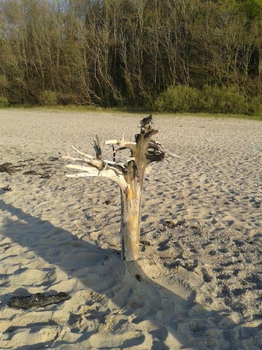 Strand & Garten Surendorf Eksteriør billede